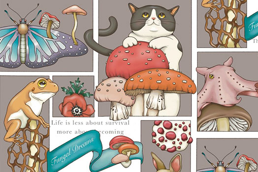 Illustrator mie Popup