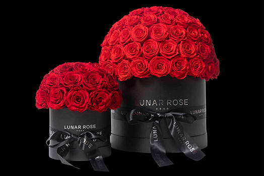 LUNAR ROSE Pop up store