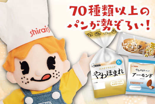 シライシパン大集合！